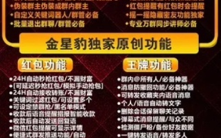 金豹网络使用体验，全面分析与深度评测