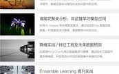 从零到一，我的个人网站搭建之旅