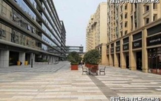 深度解析，中南网络，构建未来数字生活的桥梁