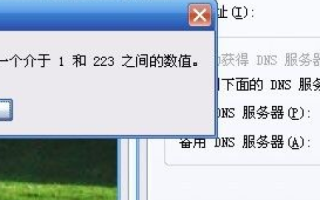 急！QQ能上去，输入IP地址可以上网，输域名就上不了网