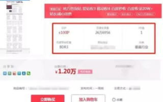 站长网的1元CN域名购买攻略，为何找不到及如何正确购买