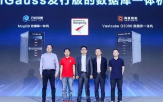 驾驭数字世界，速龙互联官网引领未来互联网新篇章