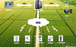 互联网+农业，草暖互联开启智慧农业新时代
