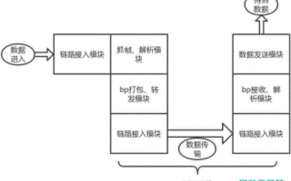 评测DNS009，性能、稳定性与用户体验的全方位审视
