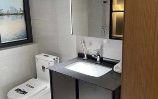 中国合租专家，解密现代城市合租生活的新选择