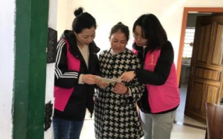 探索六九互联，用户体验、功能亮点与未来展望