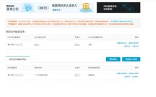 一个公司可以同时办理多个域名备案吗？