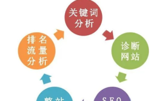 探索来路域名与搜索引擎来源，差异与影响解析