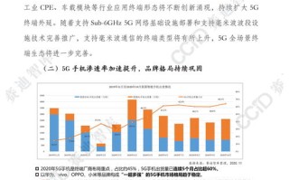 飞花云，稳定之翼下的技术探索与应用展望