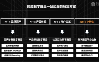 如何在数字时代选择最佳域名频道，从品牌塑造到用户体验的全面解析