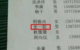 网站域名与中文名称不同音，对推广策略的影响及应对策略