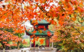海外域名主机与国内域名主机，哪个更胜一筹？
