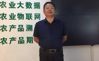 数据中国官网，开启智慧决策新时代