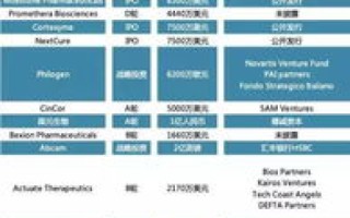 安徽傲龙网络，解析其运营模式、技术创新与市场表现