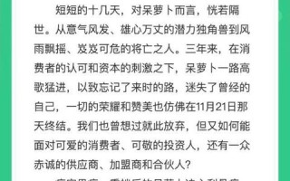 探索萝卜数据的奇妙之旅，实战经验与深度解析