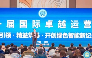 深度解析，八闽网络科技的卓越表现与行业洞察