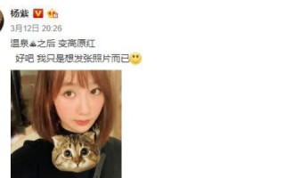 黄钻没了，原来的个性域名也消失了吗？