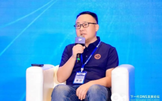 新域名.TOP，挑战传统，重塑网络生态的革新者
