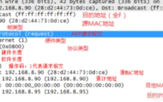 网络寻址，从域名到MAC地址的解析之旅