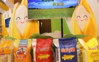 关于注册域名的全面指南，从选择到保护您的在线身份