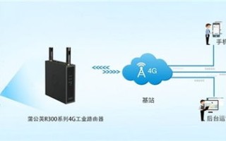 蒲公英网络评测，揭秘高效、安全、性价比的网络解决方案