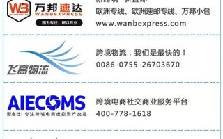 无法Ping通域名，诊断与解决的网络探索