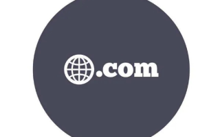 Internet域名中的类型com代表的单位性质是，商业与全球性的象征