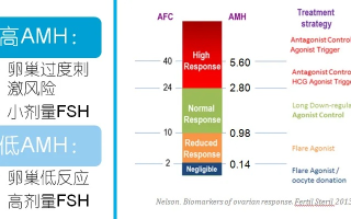 AMH官网，解锁高效精准的数据洞察