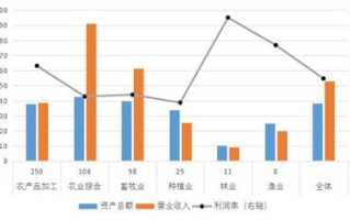 湖北华夏数据，稳定性分析及其对企业运营的影响