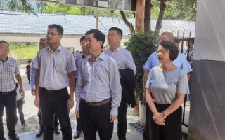 创新引领，商务新干线官网重塑企业未来