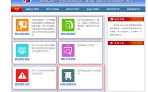 如何注册免费顶级域名，全面指南