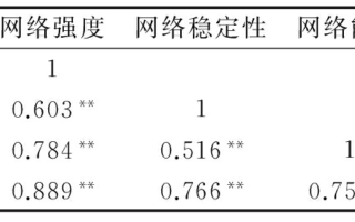 新域网，稳定性评估及其影响因素分析