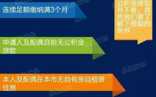 如何高效申请公司域名，权威咨询与流程详解