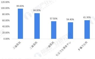 深度剖析华信网络，优势、挑战与未来发展展望
