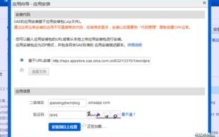 新网域名Push操作详解，从注册到配置的全过程