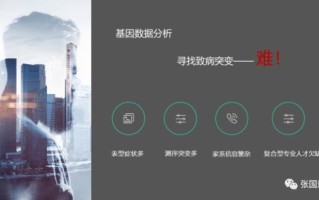 思派尔数据，解锁大数据分析新时代的钥匙
