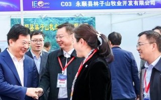 中国商务网，透视中国电商行业的崛起与影响