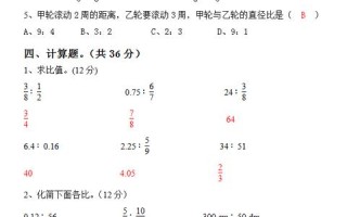 六升网络，探索其使用体验及其在现代企业中的应用实践
