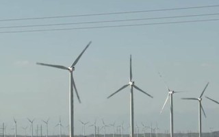 打造西部互联新生态，探寻网络稳定与可持续发展之路