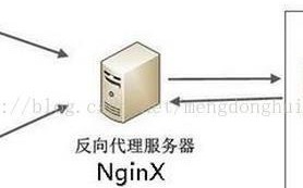我的电脑不能上网，域名无法解析的困扰与解决之旅