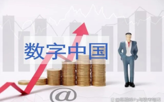 数字化时代的中流砥柱，探索中国域名网官网的多重魅力