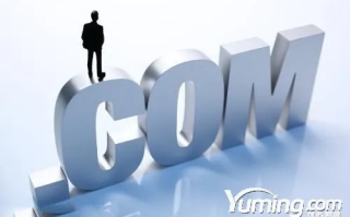 为什么有的域名那么贵