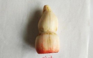 久印网络评测，深度解析打印技术及市场展望