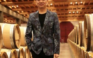 彼得数据，深度解析与实战应用