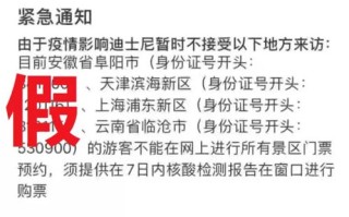 新网域名服务深度解析，真相与谣言的界限