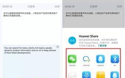 新网域名转发设置详解，轻松实现域名跳转与管理的步骤
