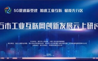 蓝科互联，赋能数字创新的领先者，重塑企业未来的科技先声