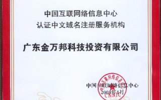 东方域名的历史与当前应用探讨