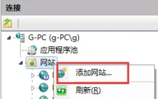 新网上注册域名并配置IIS网站，从零到一的实战指南