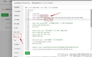 从零基础到精通，高手手把手教你完成网站搭建及域名管理